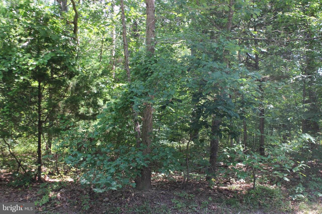 2465 Bounty Court - Photo 1