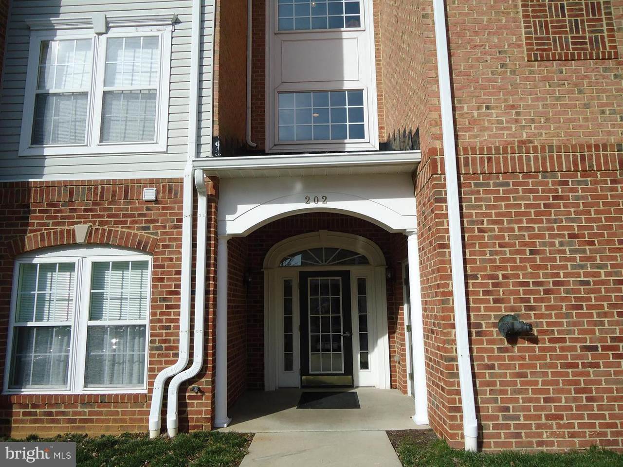 202 Secretariat Drive - Photo 1