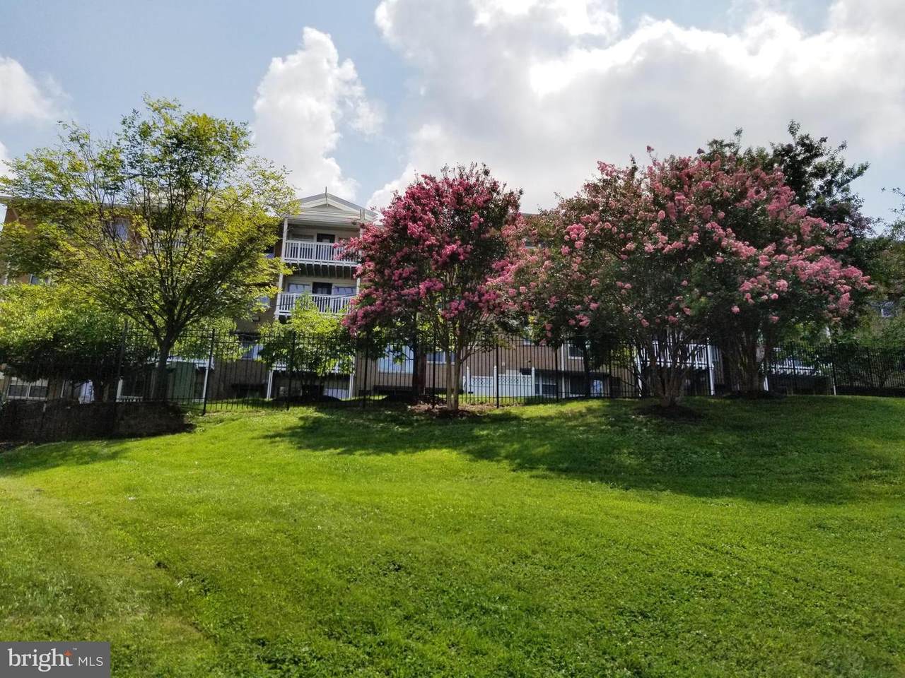 2607 Douglass Road - Photo 1