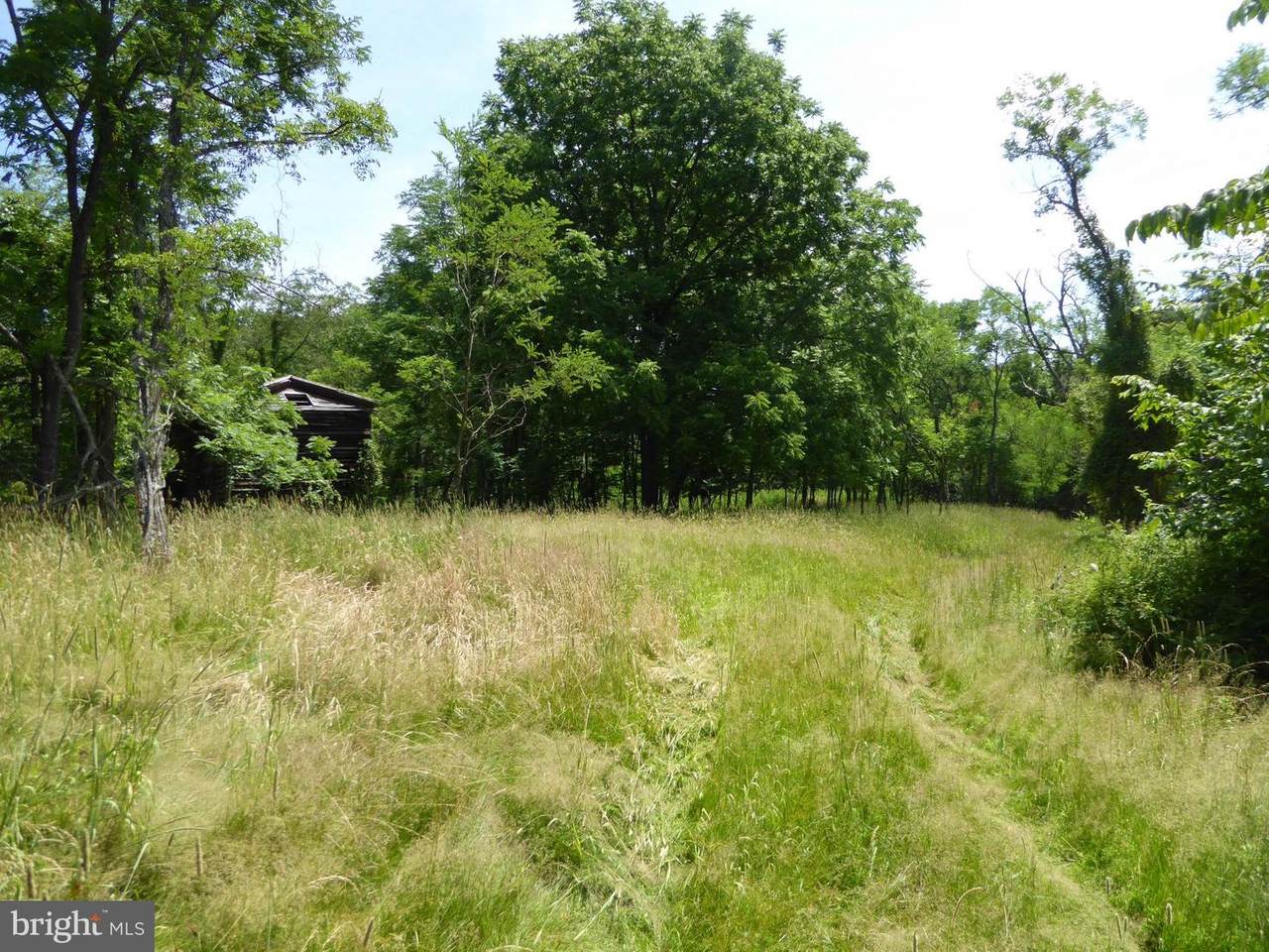 Little Capon Road - Photo 1
