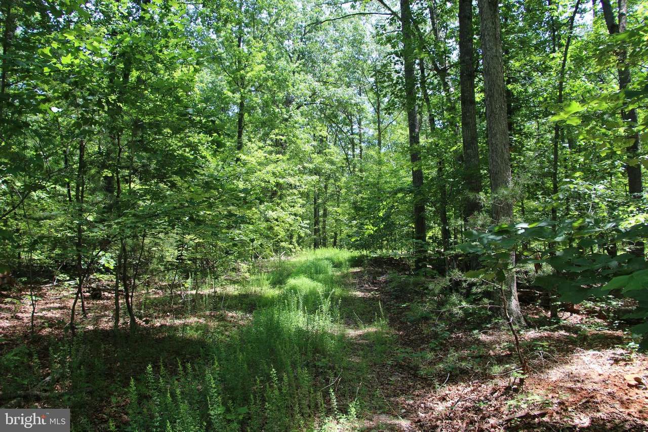 Laurel Road - Photo 1