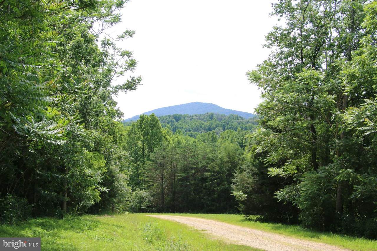 Loblolly Court - Photo 1