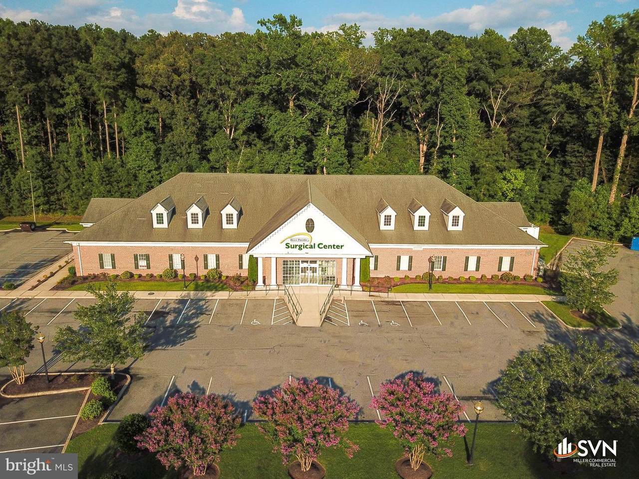 6503 Deer Pointe Drive - Photo 1