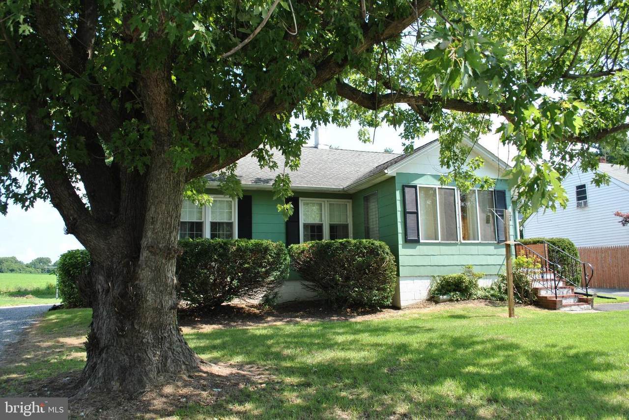 334 Cypress Street - Photo 1