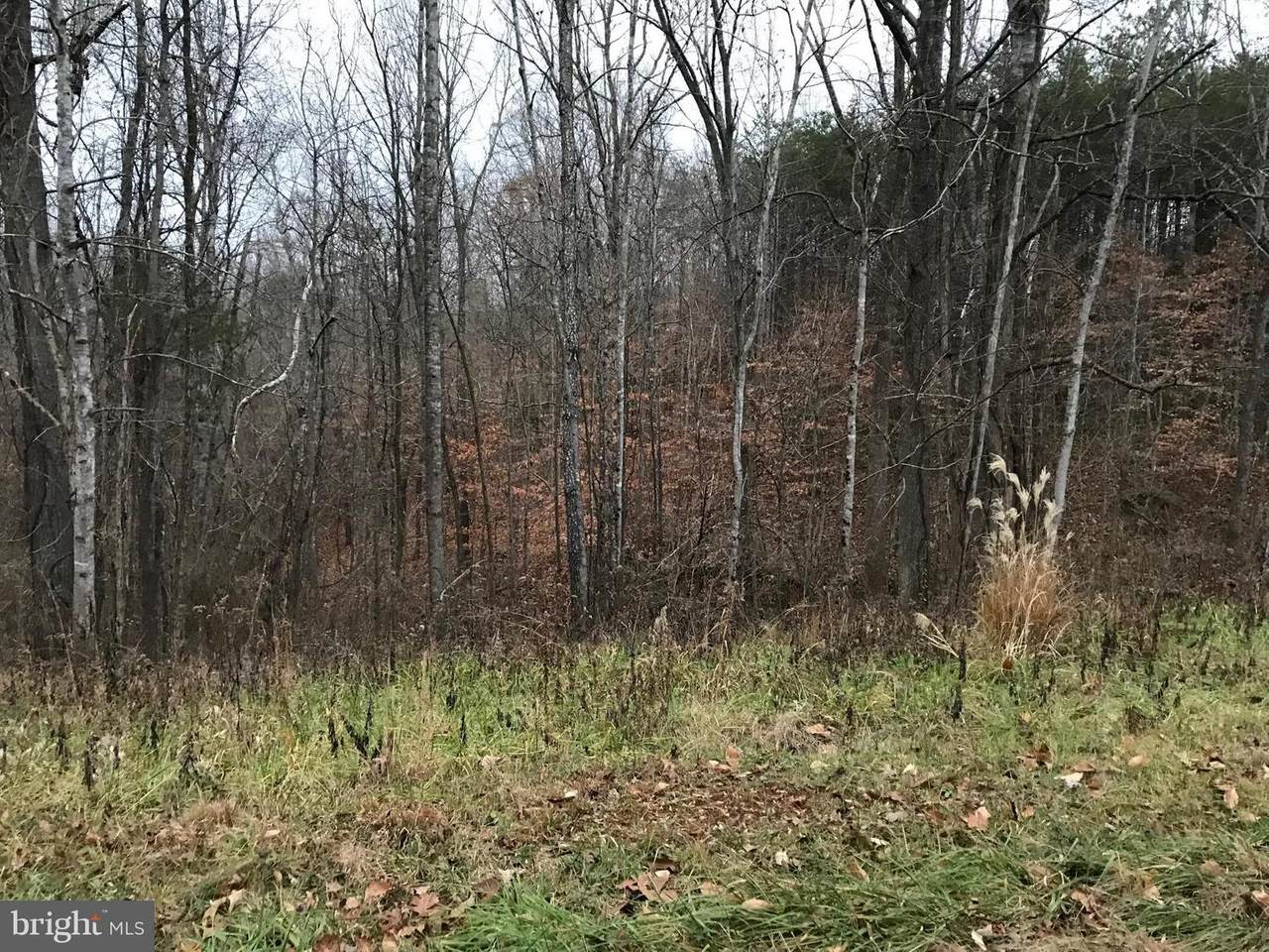 3.14 (ACRES ON) HOWARDSVILLE TURNPIKE - Photo 1