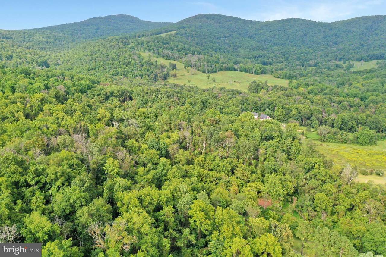 0 Withers Mill - Photo 1