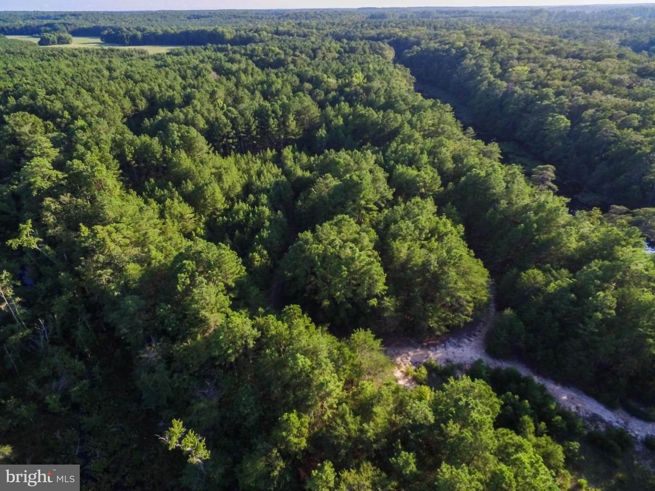 56.25 ACRES IN MOB NECK - Photo 1