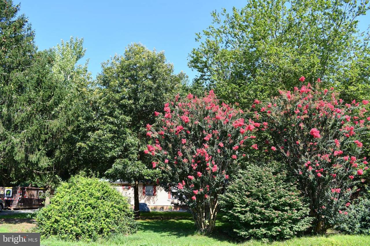 827 Westville Road - Photo 1