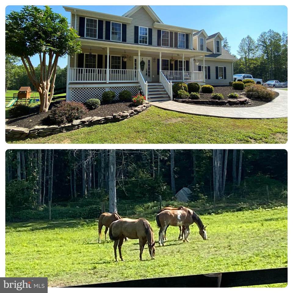 10033 Schoolhouse Lane - Photo 1