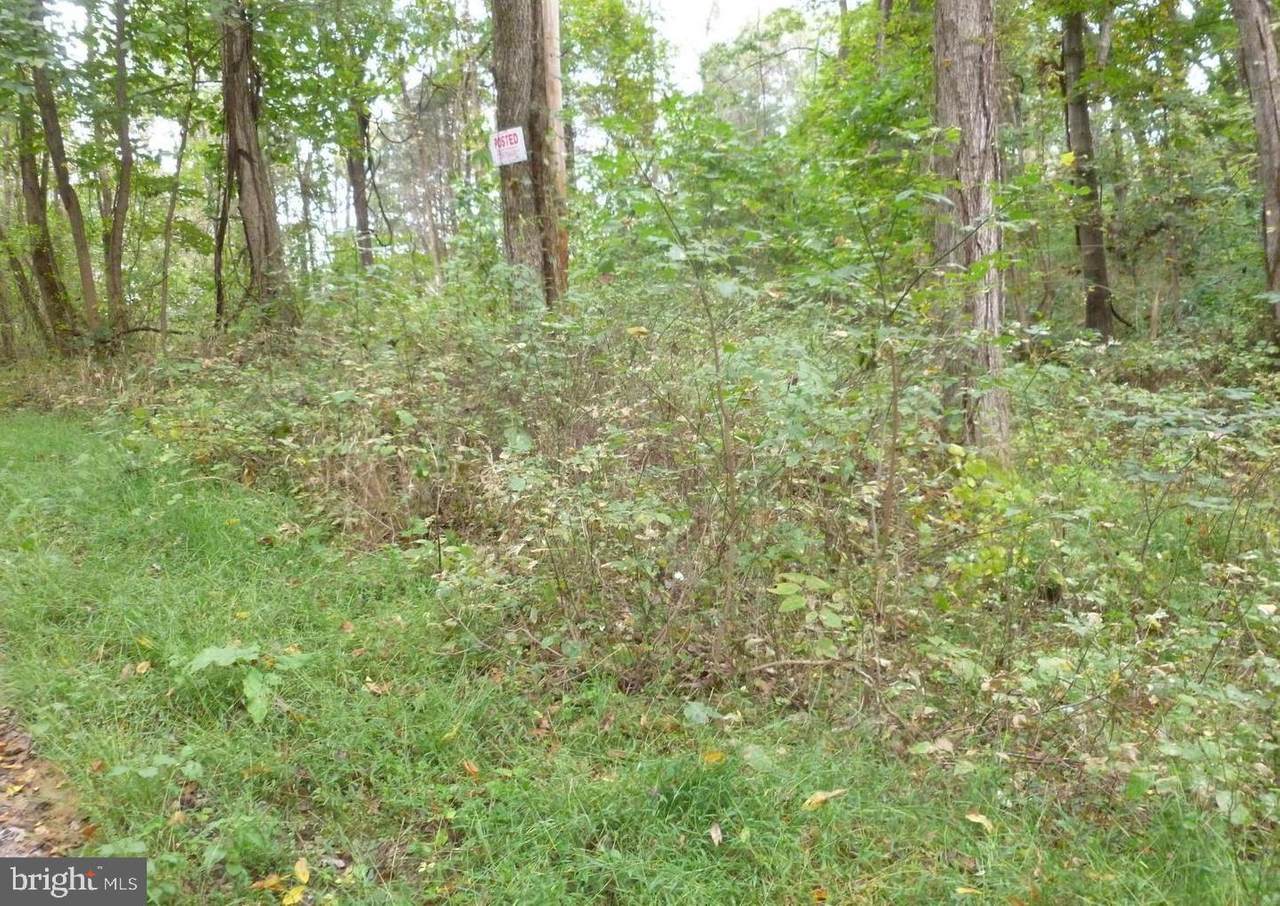 Harris Drive - Photo 1