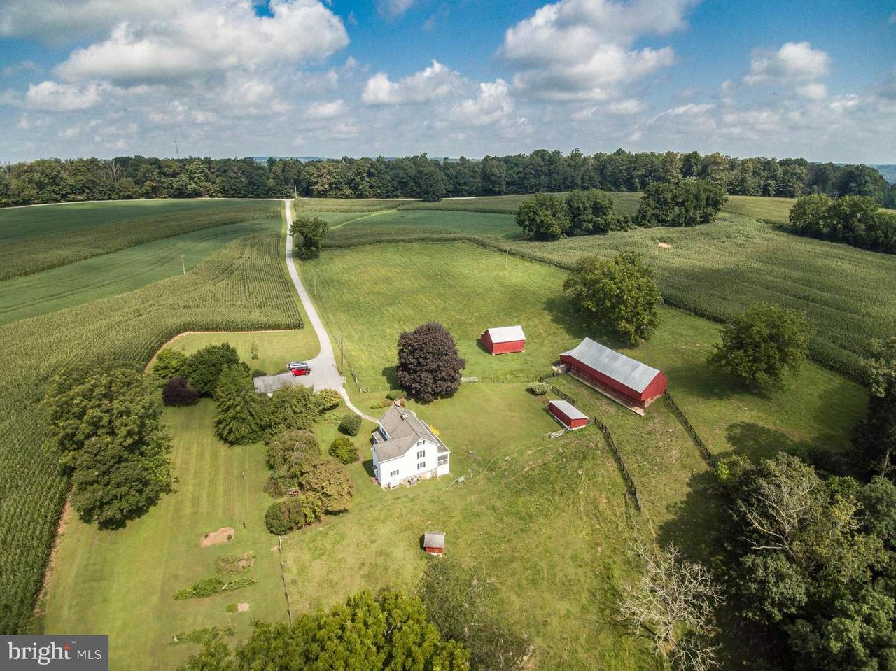 5111 Roller Road - Photo 1