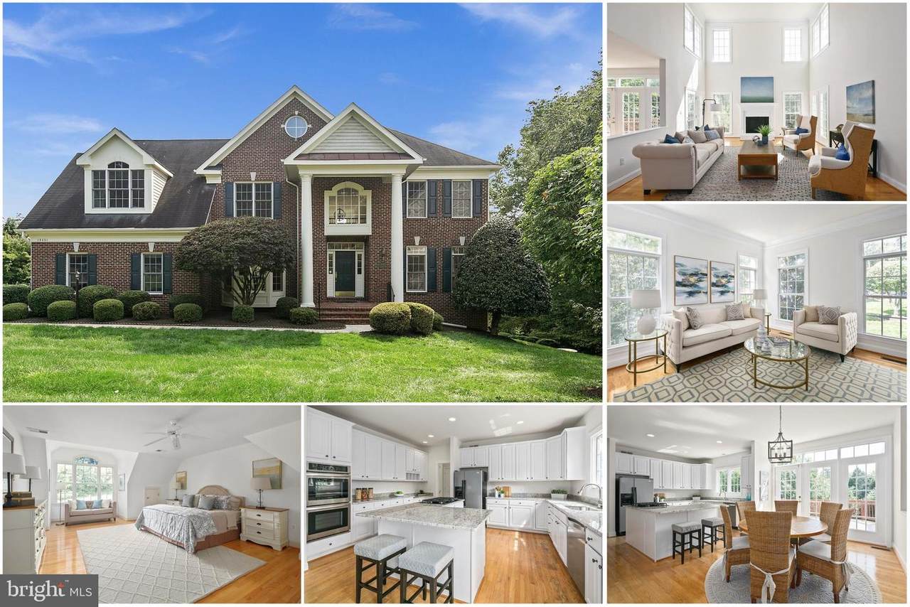 10451 Artemel Lane - Photo 1