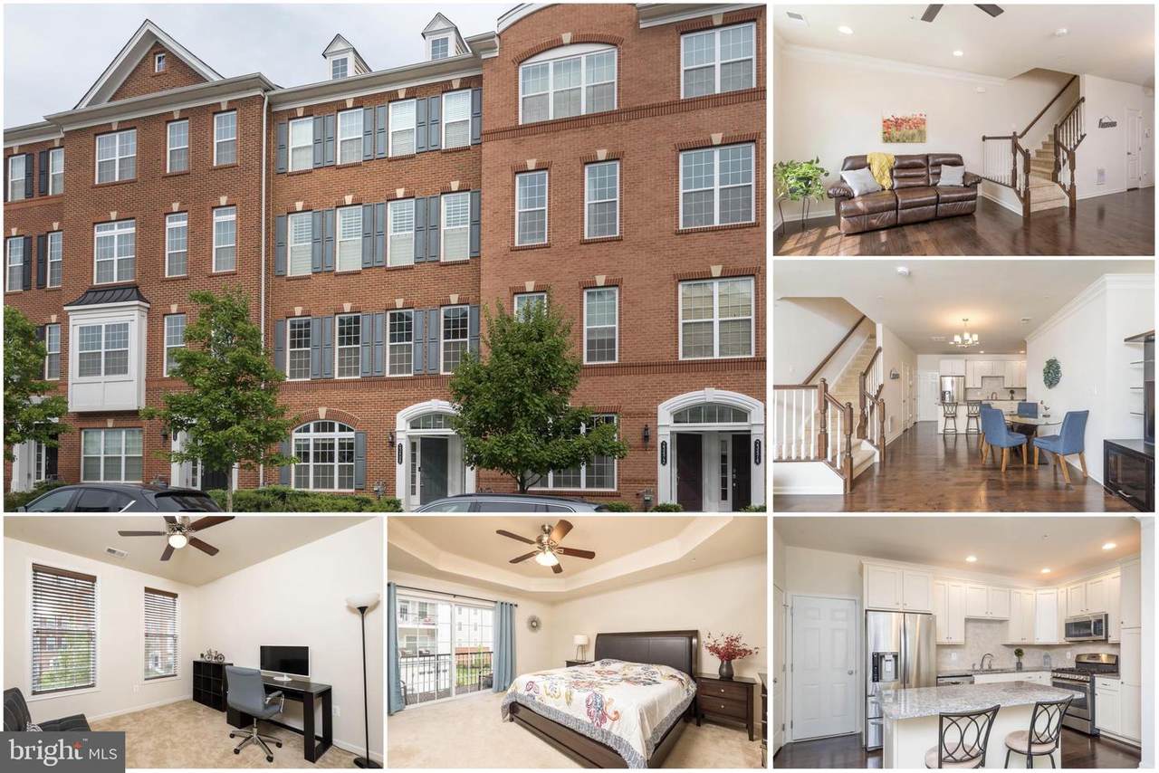 23468 Belvoir Woods Terrace - Photo 1