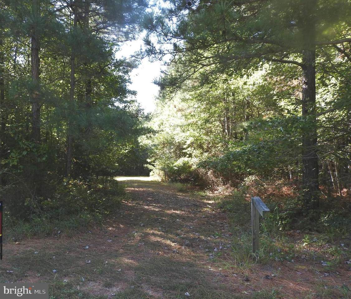 5232 Heron Road - Photo 1