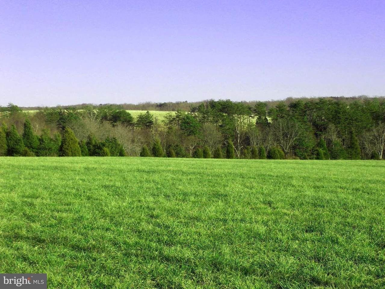 Lot 3A-1 Blenheim Road - Photo 1