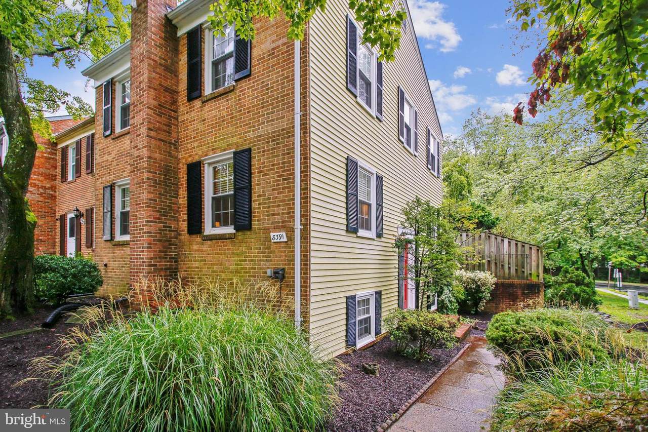 8391 Luce Court - Photo 1