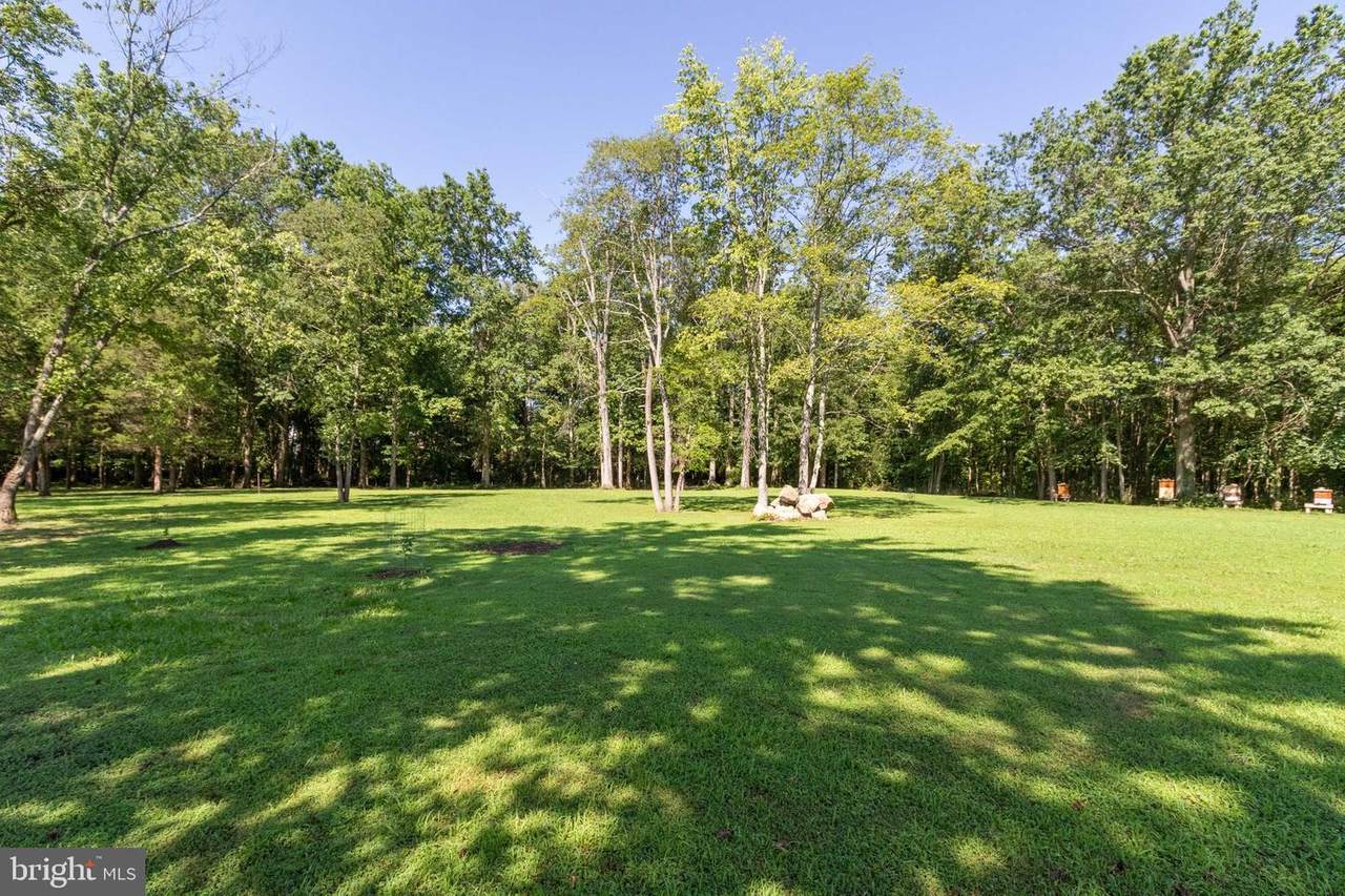 7018 Sheridonna Lane - Photo 1