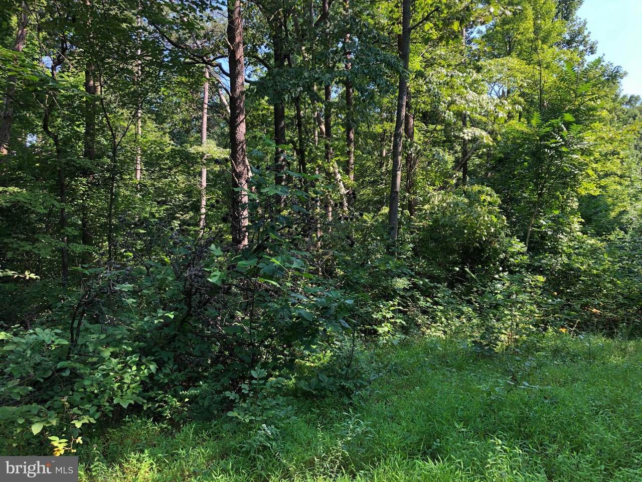 0 Whispering Pine Lane - Photo 1