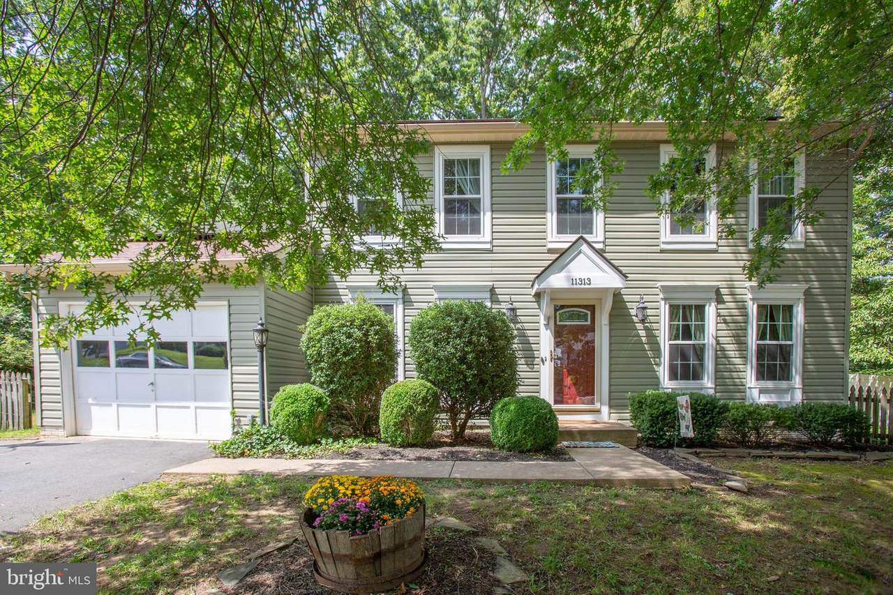 11313 Springfield Drive - Photo 1
