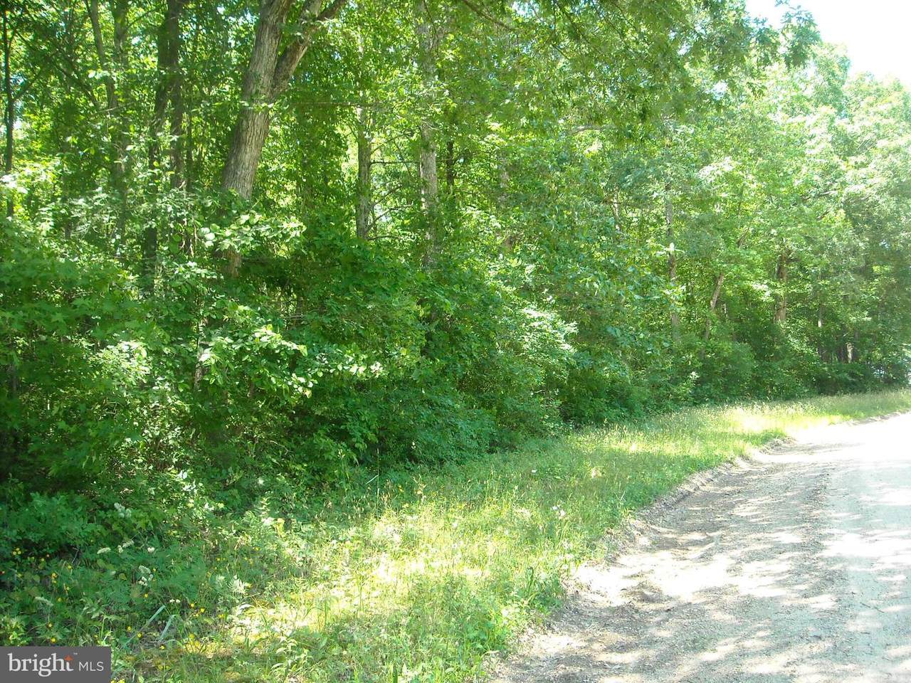 0 Trunk Line - Photo 1