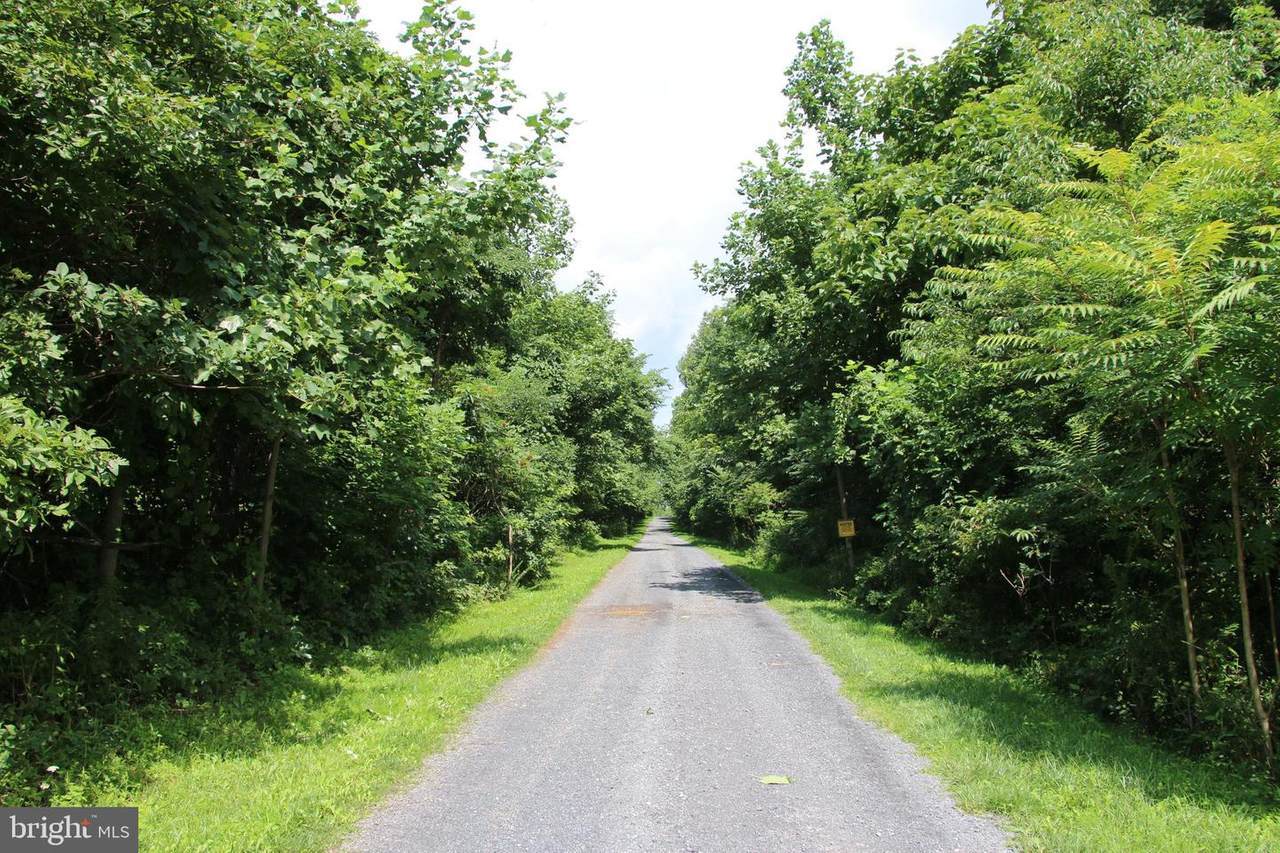 Lee Ridge Lane - Photo 1