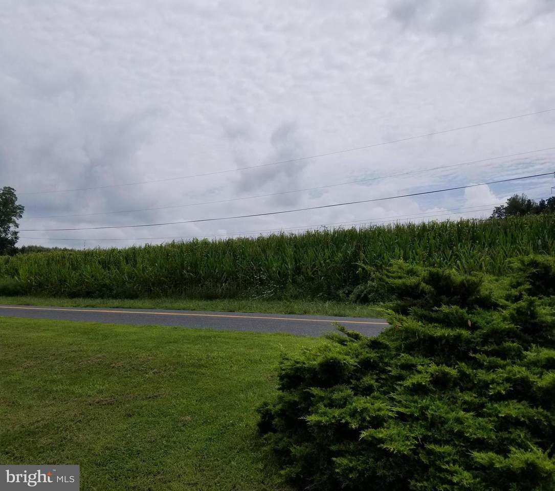 2551 Urey Road - Photo 1