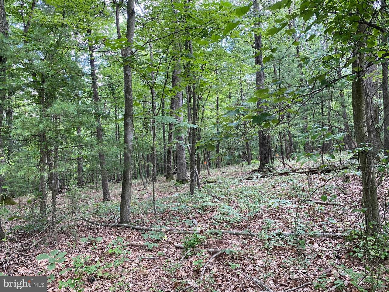 0 Chestnut Ridge Road - Photo 1