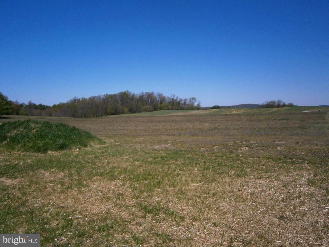 11840 Old Annapolis Road - Photo 1