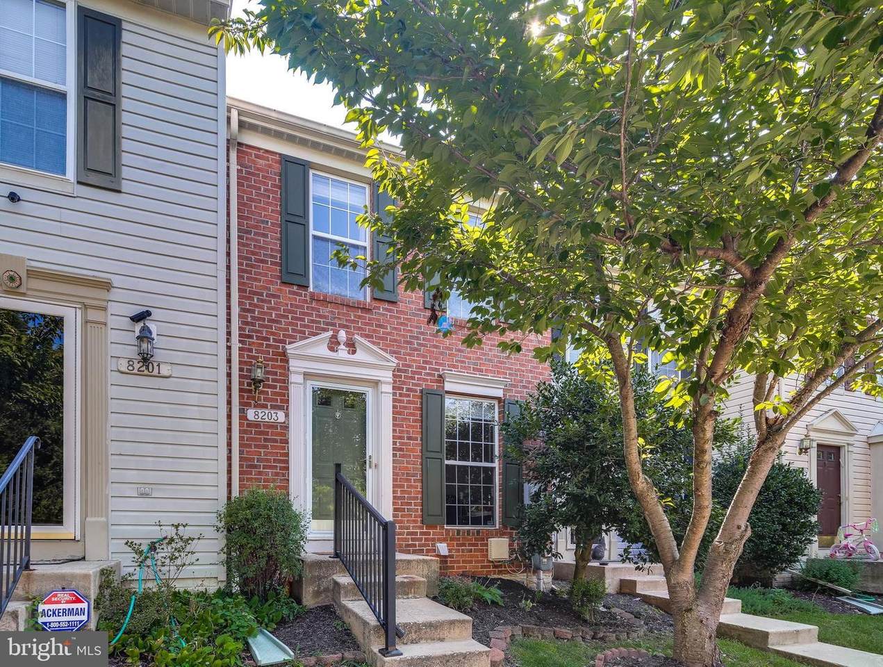 8203 Water Lily Way - Photo 1