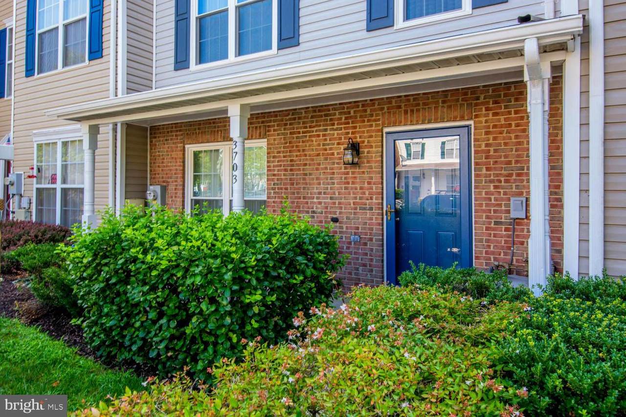 3703 Erma Terrace - Photo 1