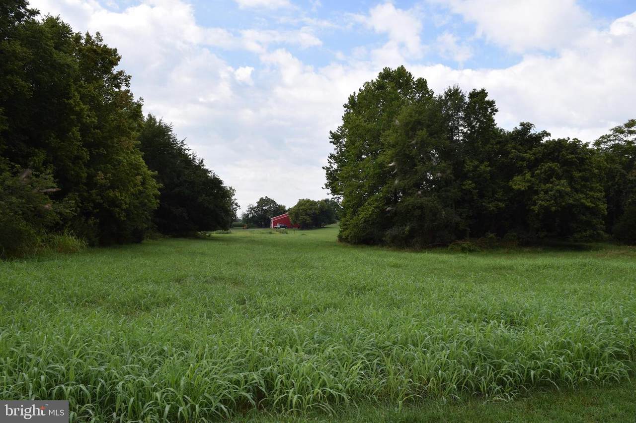 8108 Dam 4 Road - Photo 1