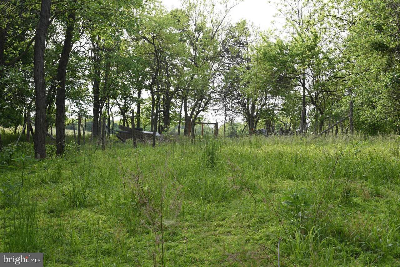 Lot 2 Valentine Court - Photo 1