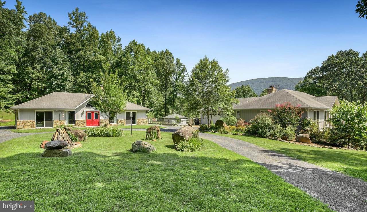 3687 Buck Mountain Road - Photo 1