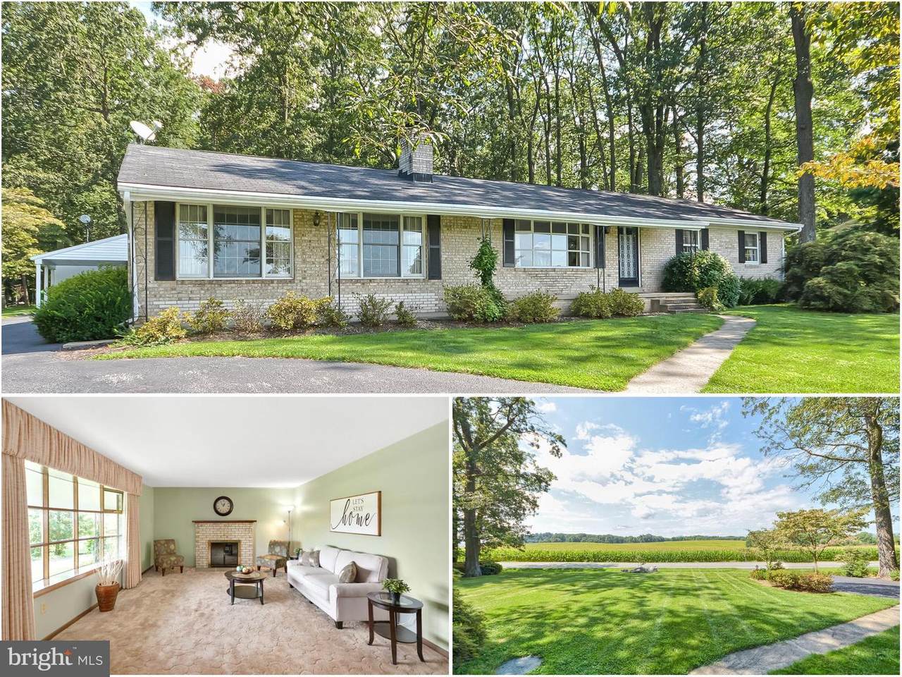 3823 Big Woods Road - Photo 1