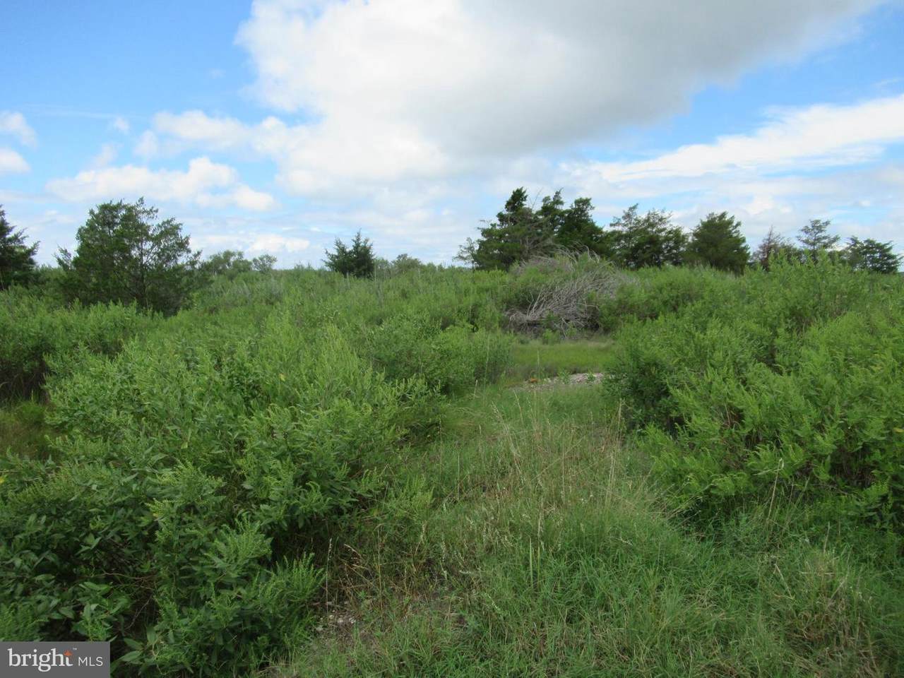 3054 Calvary Road - Photo 1