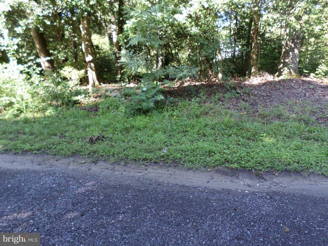 Holly Way - Photo 1