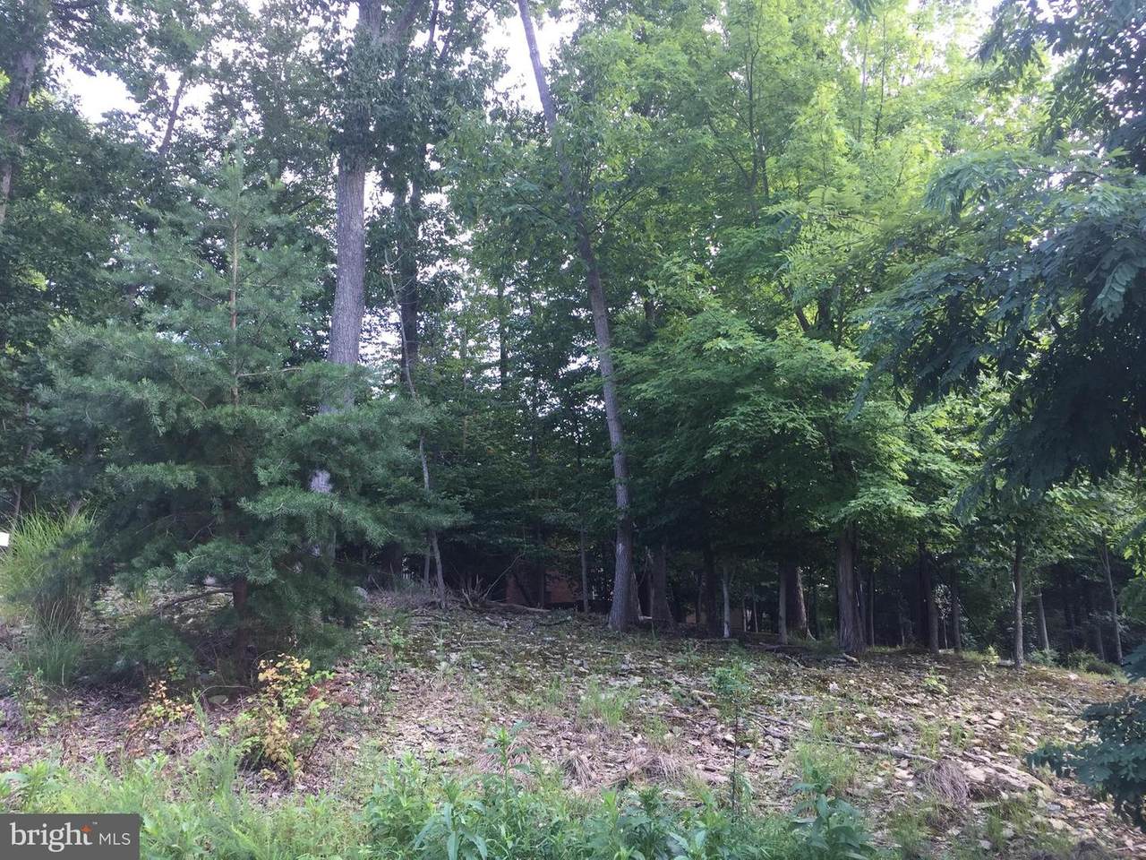 6607 Accipiter Drive - Photo 1