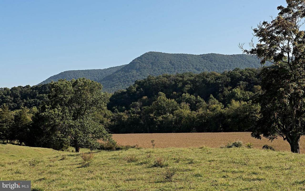 Island Farm Rd - Photo 1