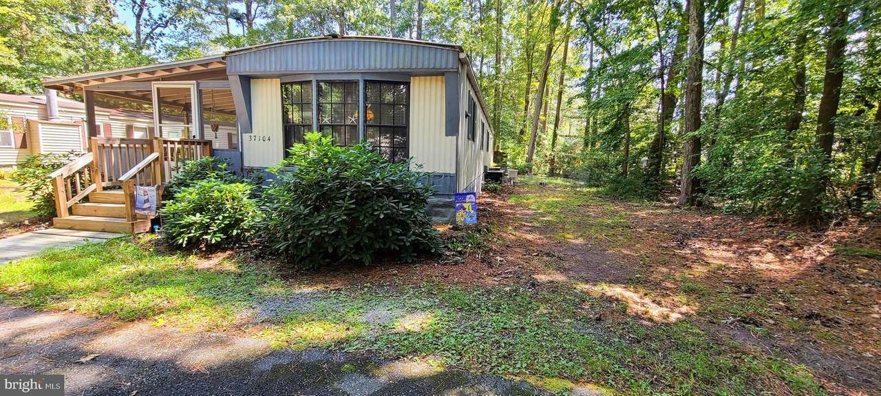 37104 Alabama Drive - Photo 1