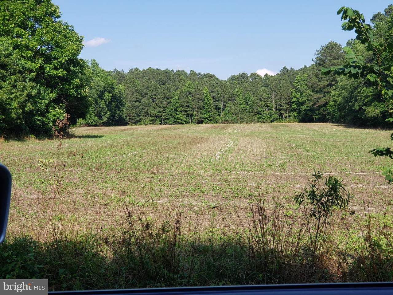 4105 Frazier Neck Road - Photo 1