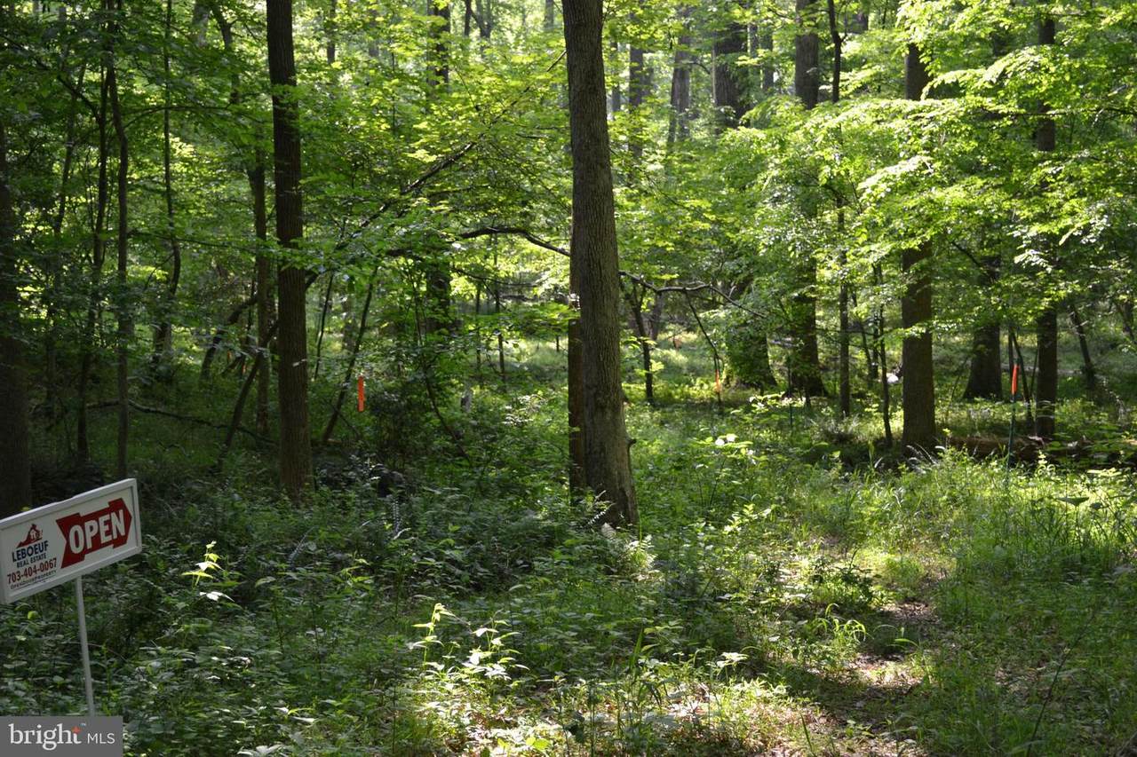 Captain Hickory Drive - Photo 1