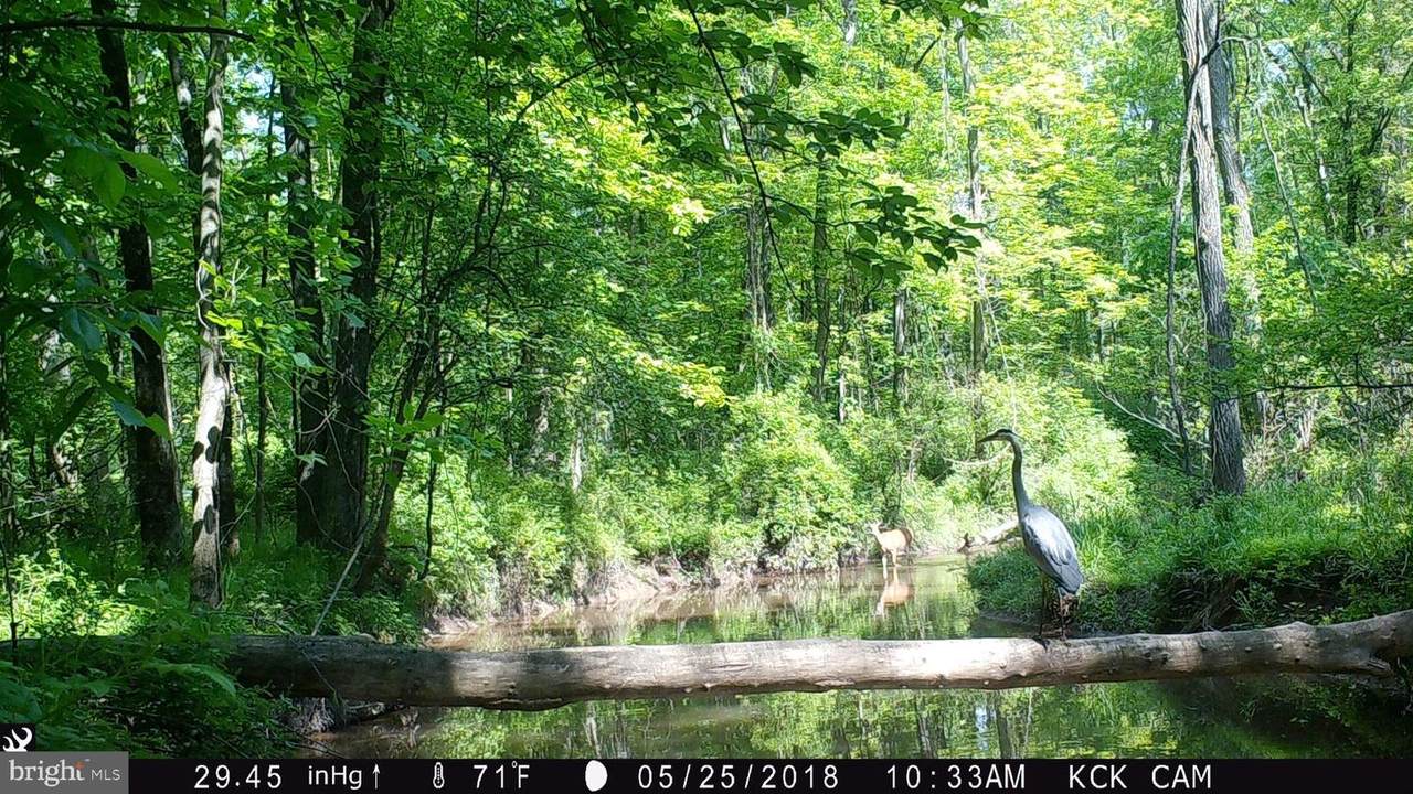 0 Middle Creek Road - Photo 1