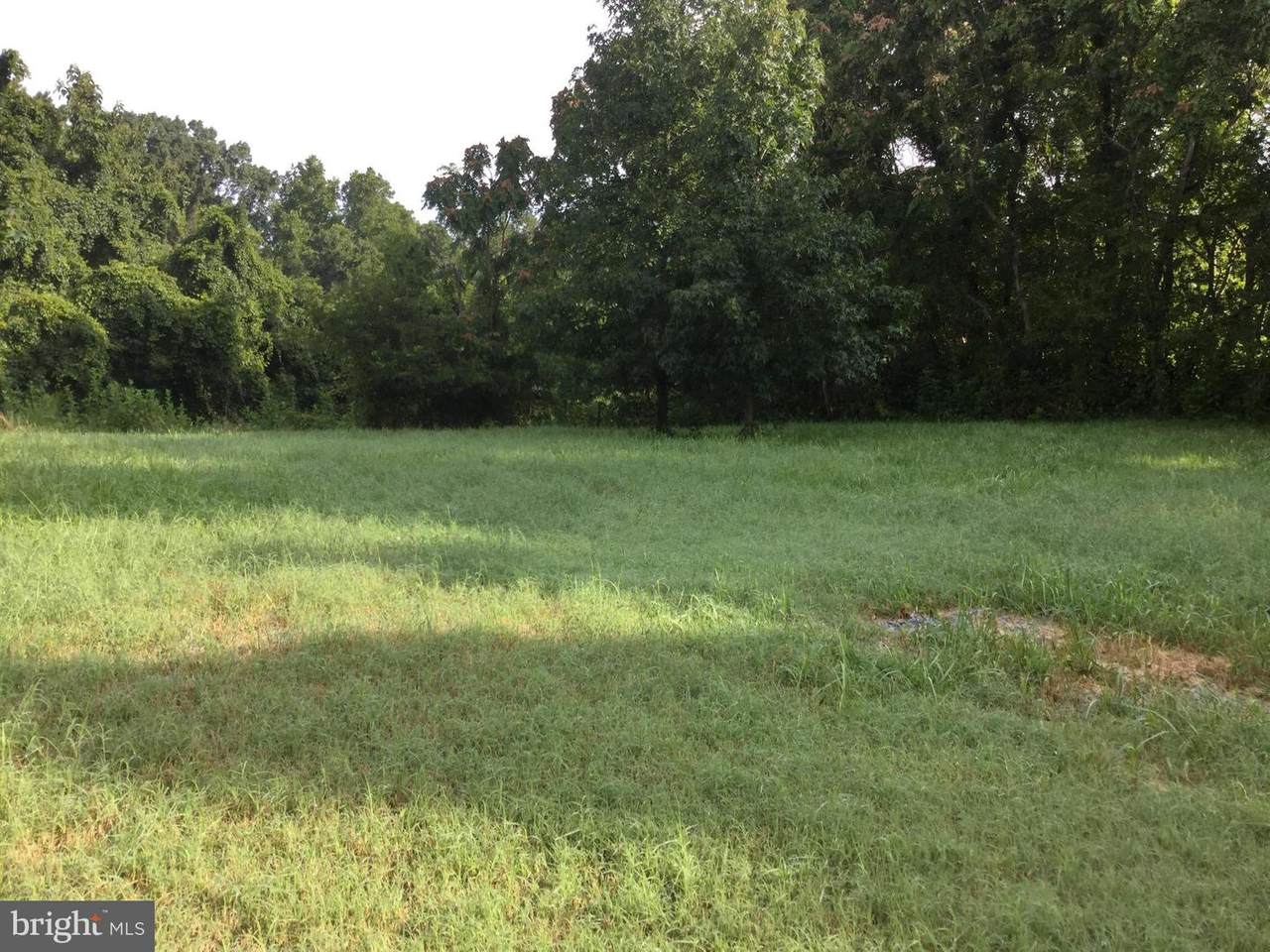 62D Poplar Neck Road Poplar Neck Road - Photo 1
