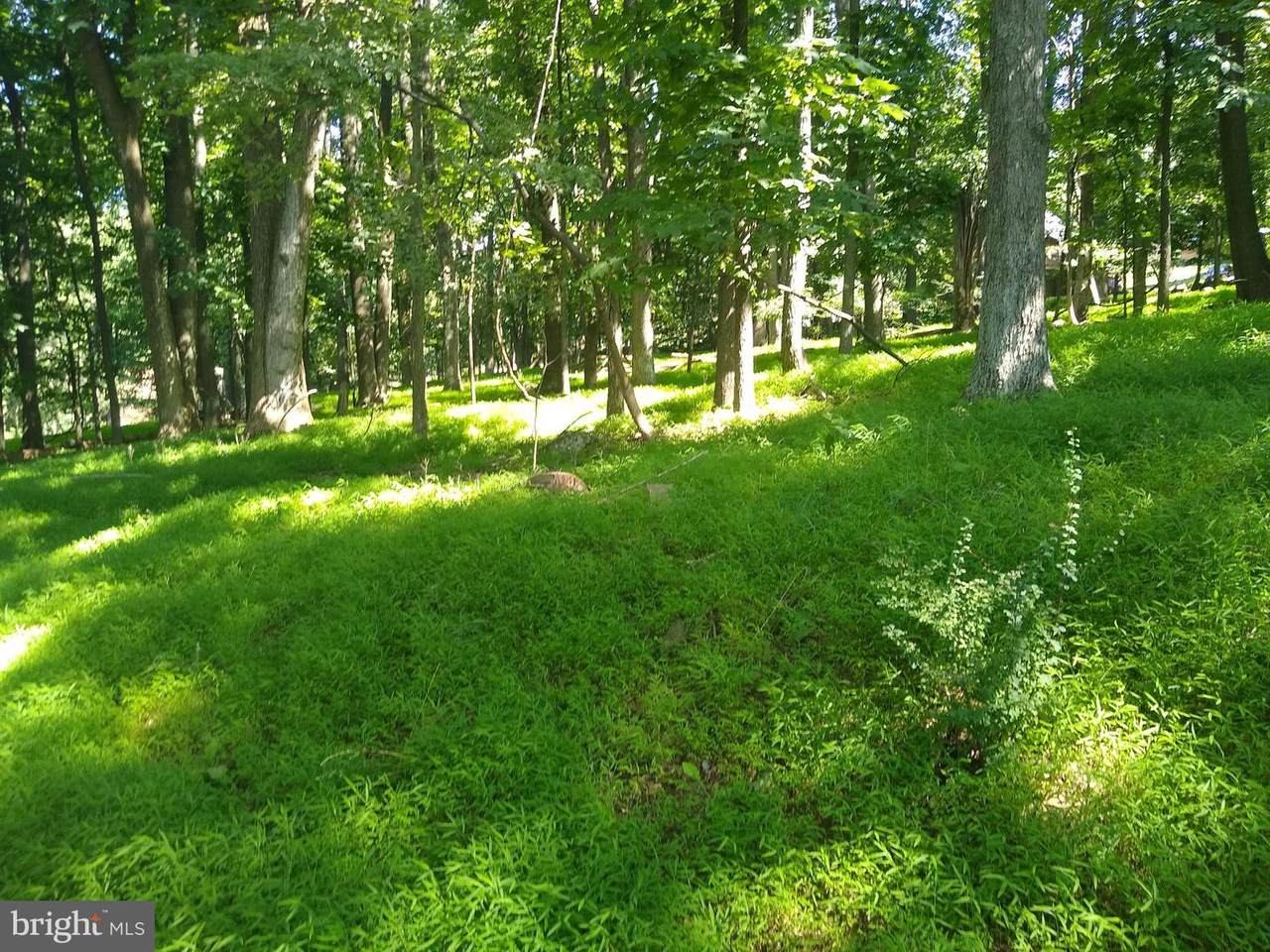 Lot 62N Rocky Knob - Photo 1