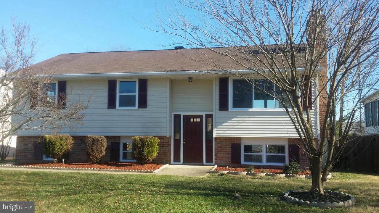 7507 Saffron Court - Photo 1