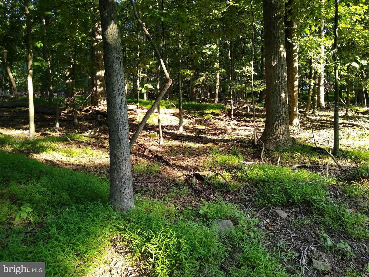 Lot 6S Shenandoah Valley - Photo 1