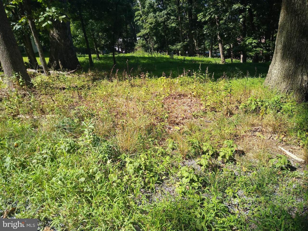 Lot 11Q Deer Trail - Photo 1