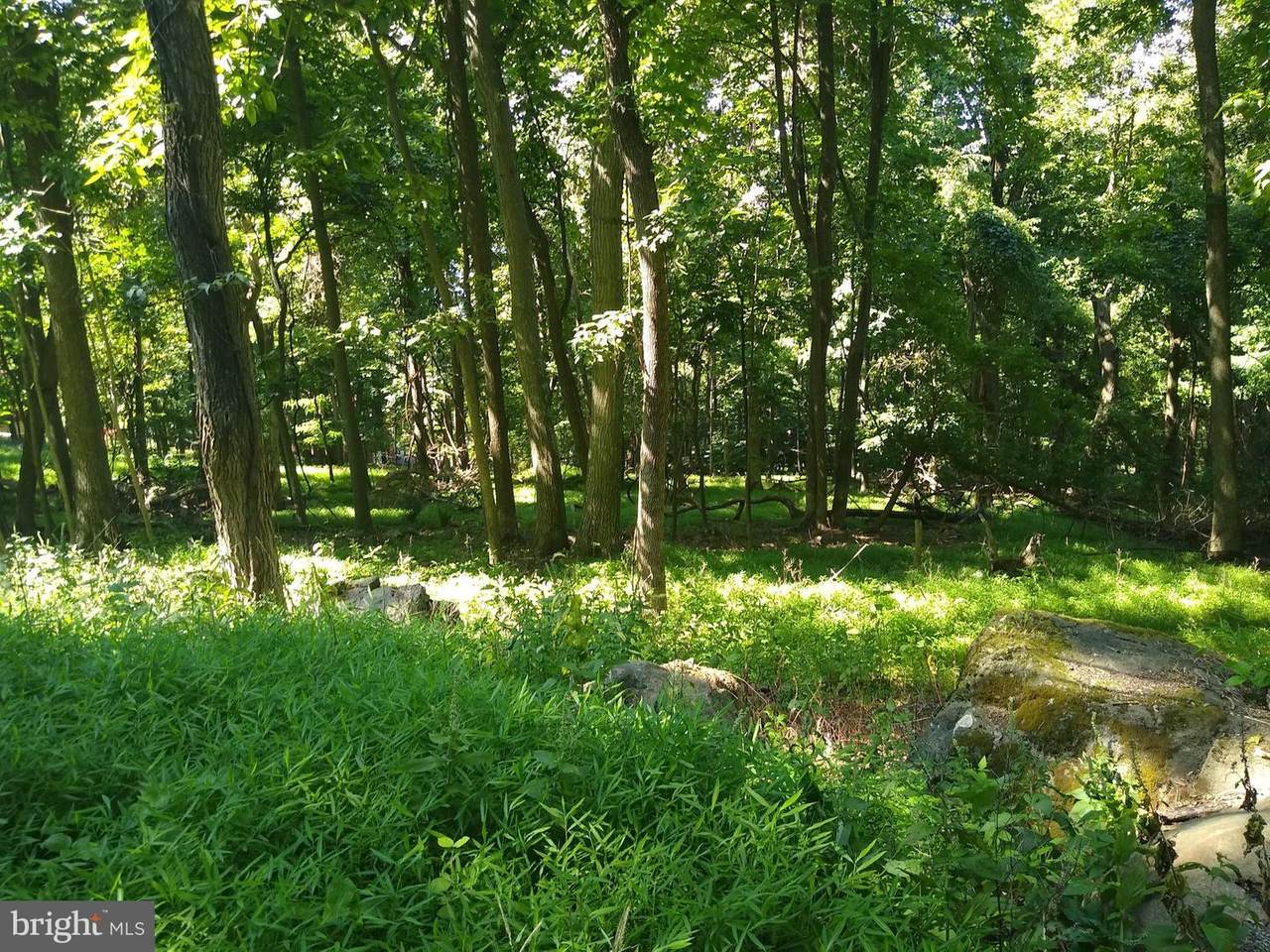 Lot 14Q Deer Trail - Photo 1