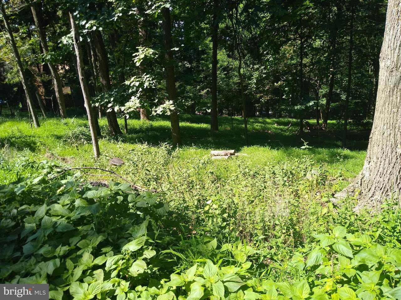 Lot 15Q Deer Trail - Photo 1