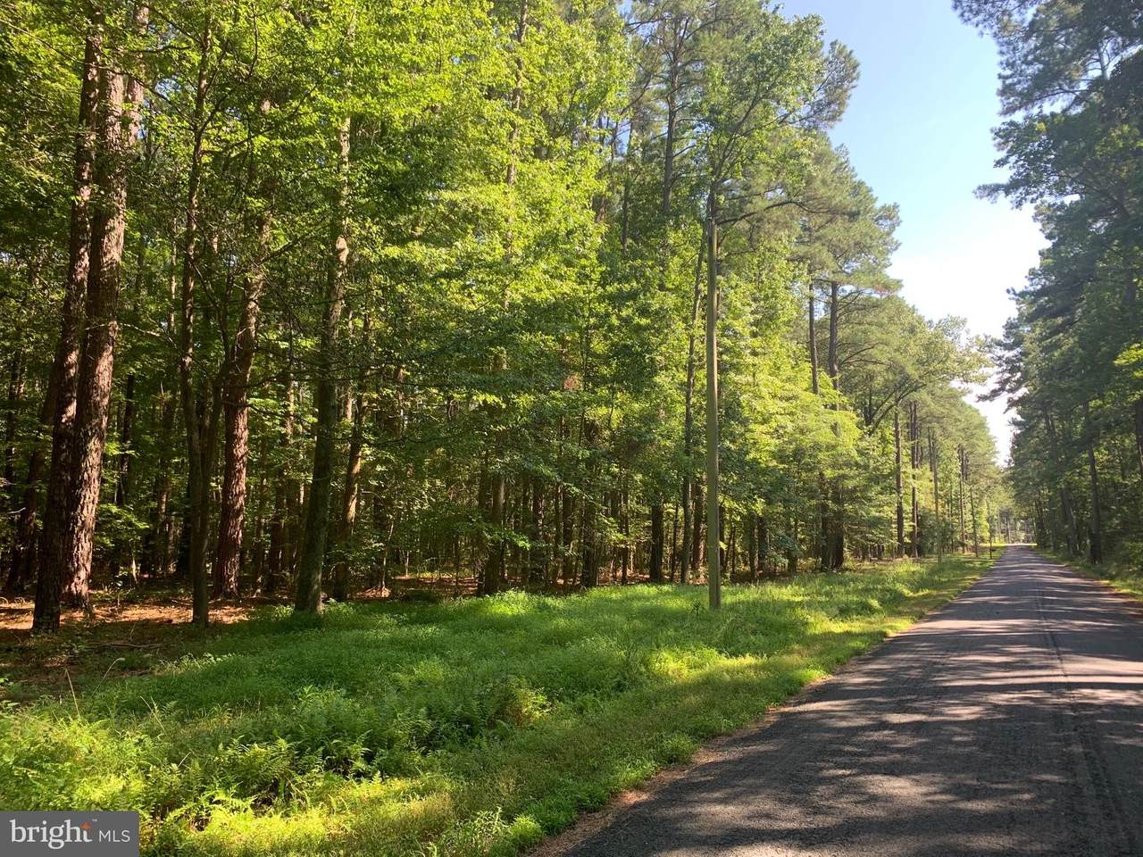 15480 Woodland Point Road - Photo 1